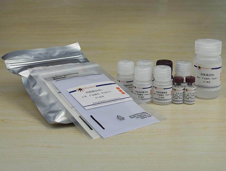 Human IL-6 ELISA Kit